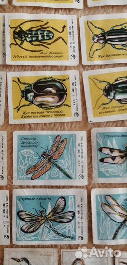 Коллеционная этикетка