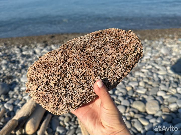 Реквизит для фото Коряга дрифтвуд