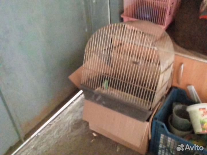 Клетки для птиц