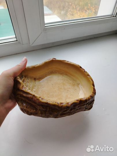 Тарелка или купальня для рептилий