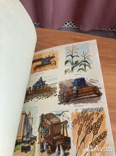 А. Мусатов: Кусок хлеба для младших классов