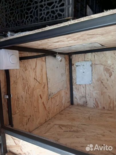 Брудер для цыплят