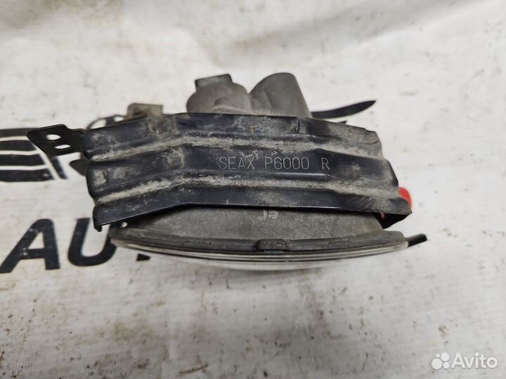 Фара противотуманная правая Honda Accord CL9 K24A