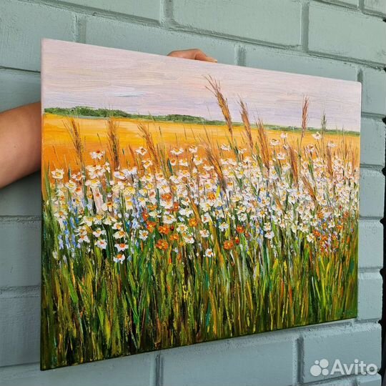 Ромашки цветы картина маслом полевые цветы