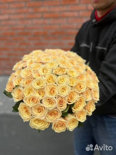 51 роза из свежей Голландской розы с доставкой