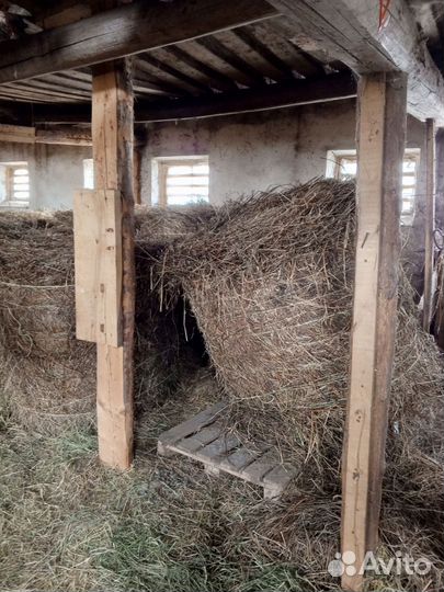 Сено в рулонах