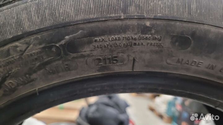 Sava Eskimo Ice 205/55 R16