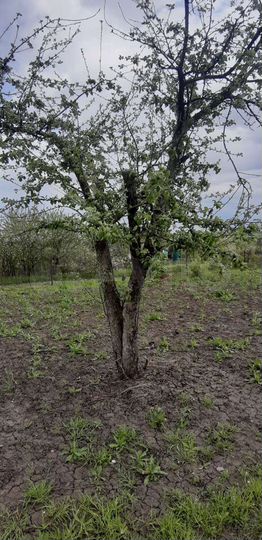 Дача 20 м² на участке 10 сот.