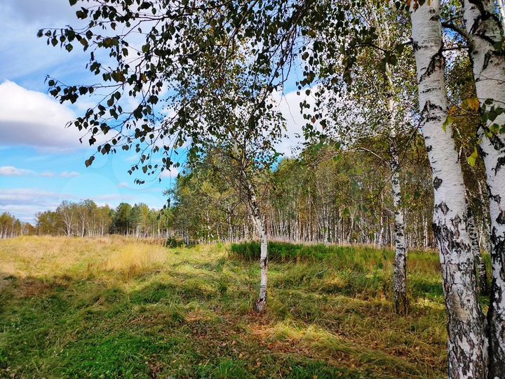 Участок 47,5 га (СНТ, ДНП)