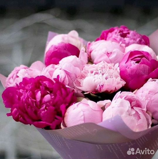 Пионы Букет пионов