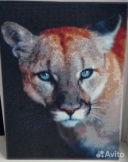 Готовая картина Алмазная мозаика Пума 30*40