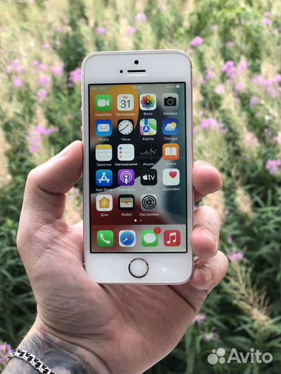 Смартфон iPhone SE 32Gb