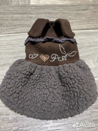 Одежда для мелкой собаки xs