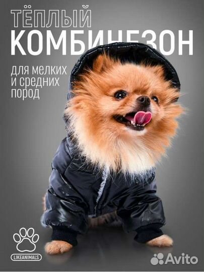 Одежда для собак S