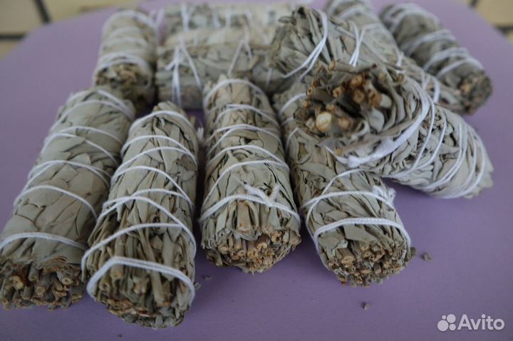 Шалфей Калифорнийский от 20шт опт для Ozone