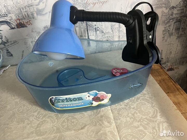 Аквариум для черепахи