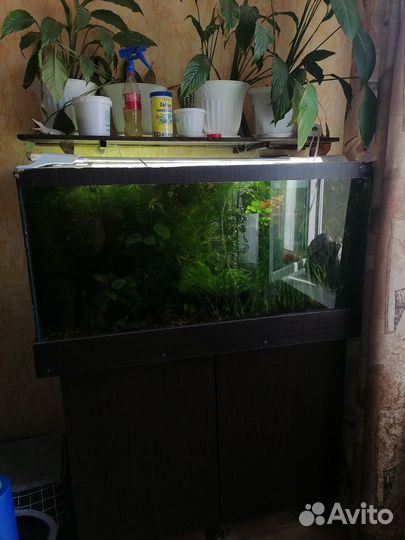Аквариум с тумбой 340 литров