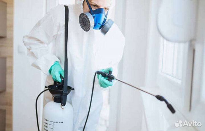Дезинсекция, уничтожение тараканов, клопов, блох