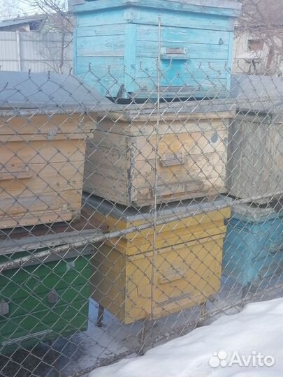Продаю ульи б/у