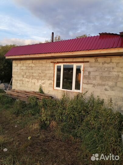 Готовый бизнес Ф. Х. Дом, теплица Рассада, петуния