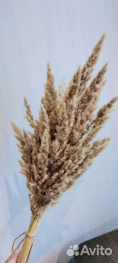 Букет из сухоцветов (вейник)