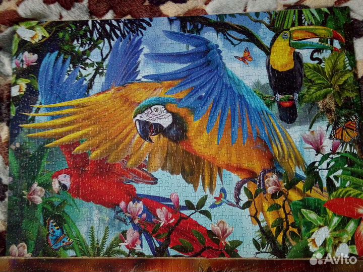 Картины пазл