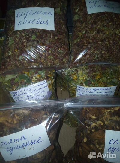 Чаи алтая, ручной сбор