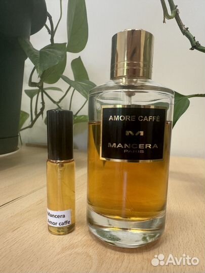 Mancera Amore caffe распив отливант