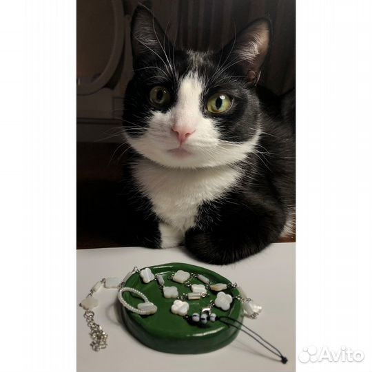 Кошка Луна помогает собрать подарок на праздник