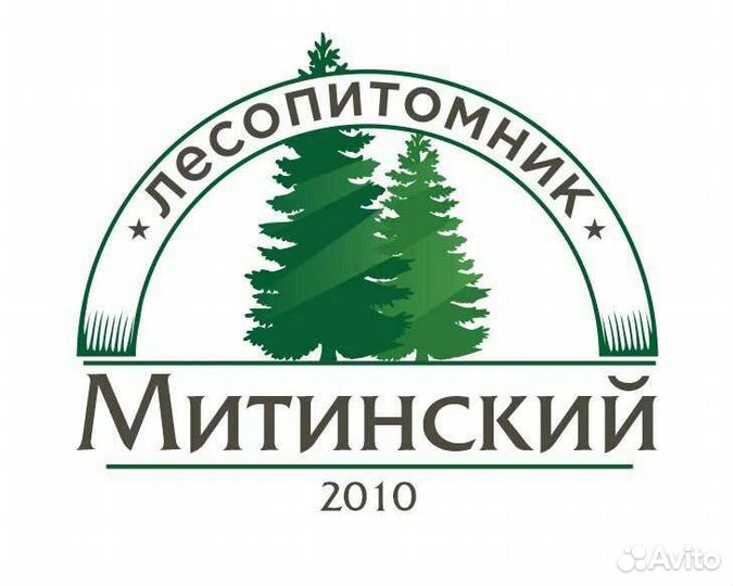 Разнорабочие