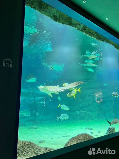 Билеты в москвариум