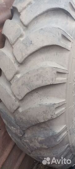 Резина для грейдера