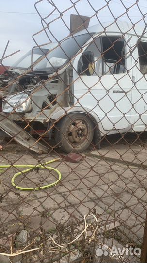 Газель в разбое