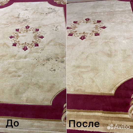 Обучение бизнесу на стирке ковровых изделий