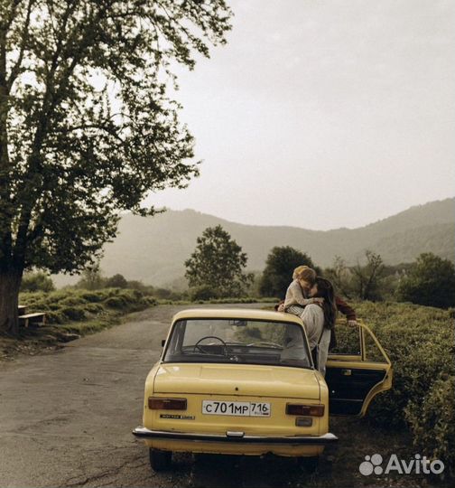 Пресеты Мария Панасова (2024)