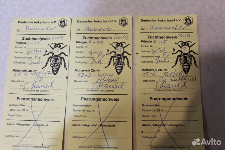 Пчелопакеты Карника, Пчелы, Отводки