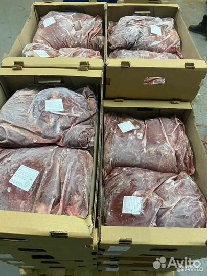 Инвестиции в действующий бизнес, доход 23682 в мес