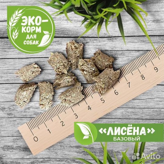 Корм для собак