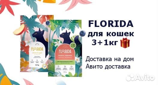 Florida Флорида корм для кошек 3+1кг доставка купить в Санкт-Петербурге ...