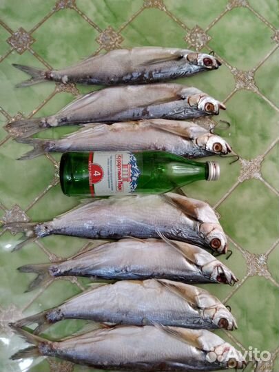 Чехонь Донская