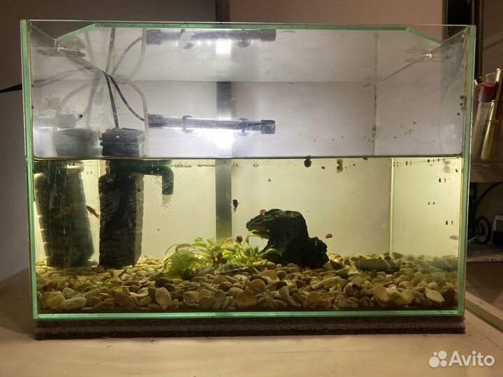 Аквариум 40л со всем оборудованием