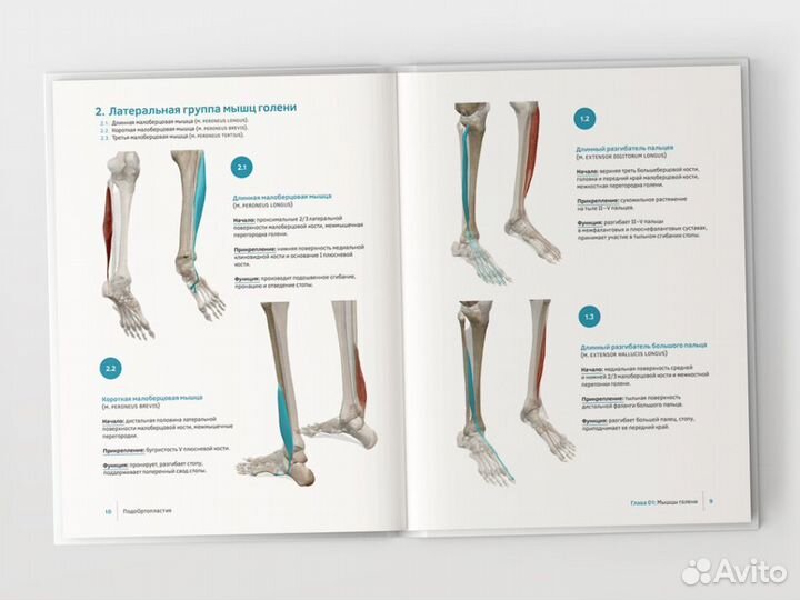 Книга по подоортопластии для спецов и не только