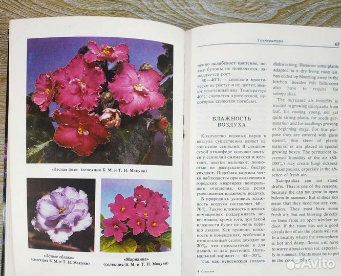 Книга,Сенполии