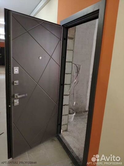 Двери с биометрическим замком DV-9141