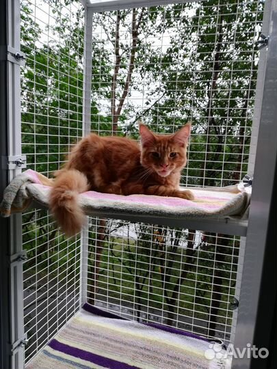 Балкончик для кошки на окно