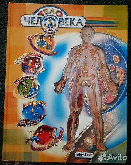 Тело человека книга