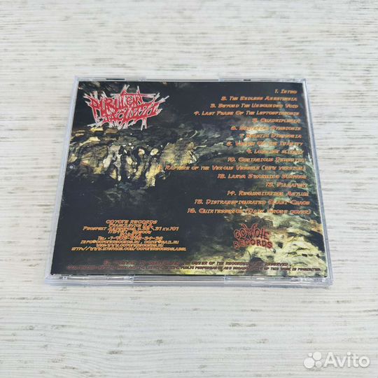 CD Purulent Jacuzzi 