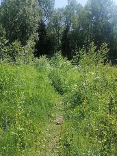 Участок 10 сот. (СНТ, ДНП)