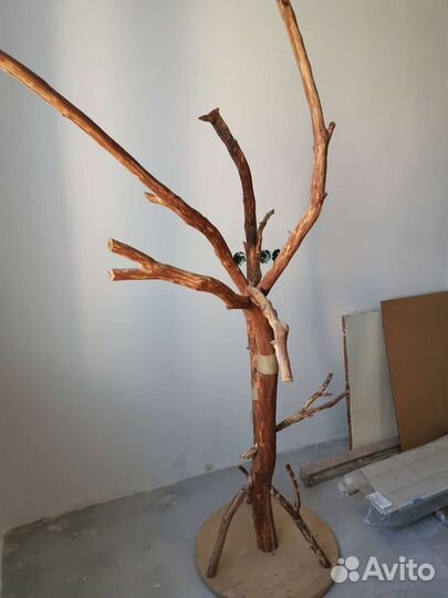 Дерево для питомца