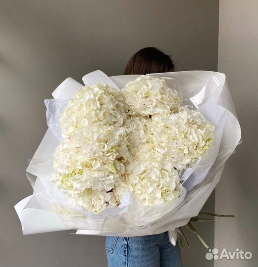 Гортензии с бесплатной доставкой